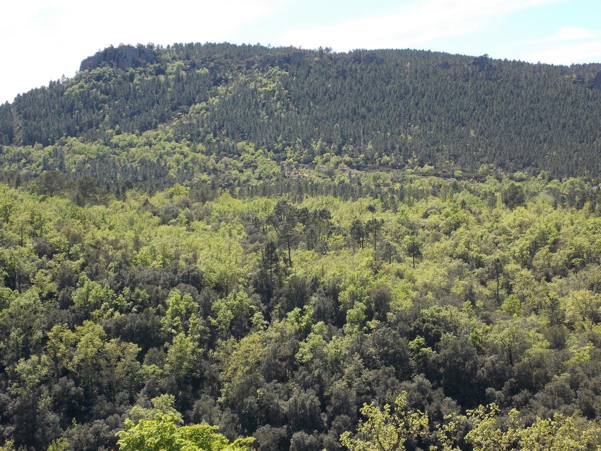 Au Relais Provencal Hotell Bagnols-en-Forêt Exteriör bild